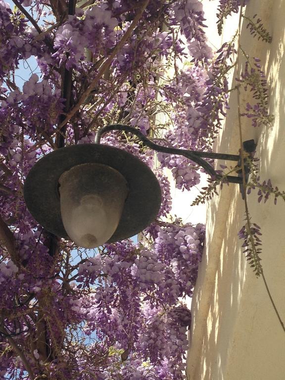 Mas De Mariette Bed and Breakfast Noves Εξωτερικό φωτογραφία