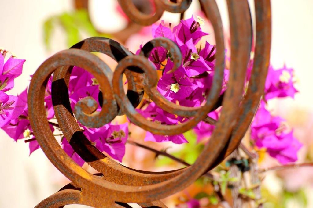 Mas De Mariette Bed and Breakfast Noves Εξωτερικό φωτογραφία