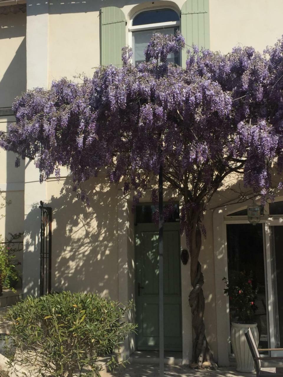 Mas De Mariette Bed and Breakfast Noves Εξωτερικό φωτογραφία